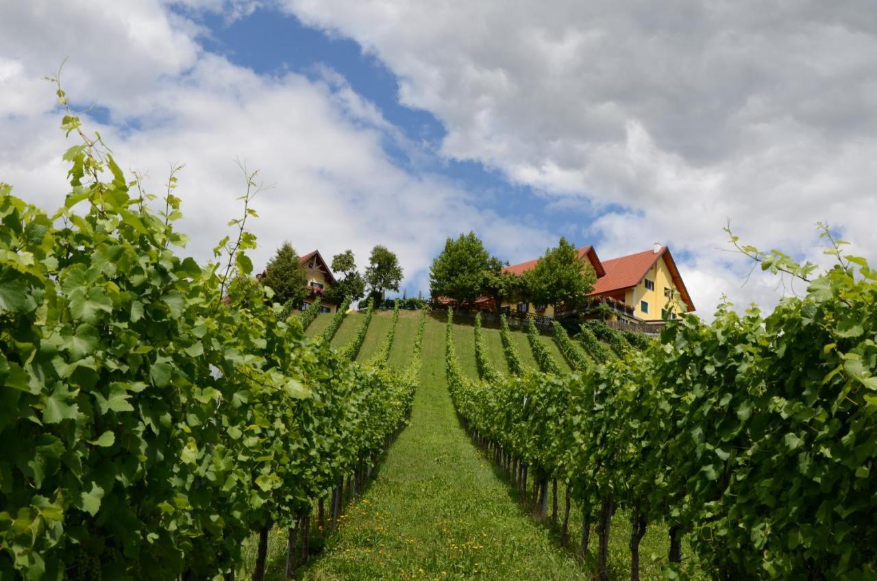 里欧查赫Weingut Fellner住宿加早餐旅馆 外观 照片